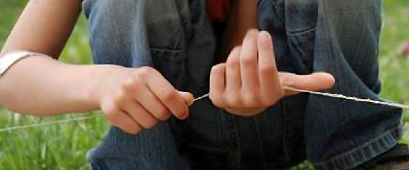 Module 3: Sensory Awareness and Regulation